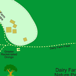 White Lodge Kindergarten Upper Bukit Timah